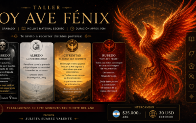 TALLER SOY AVE FÉNIX.